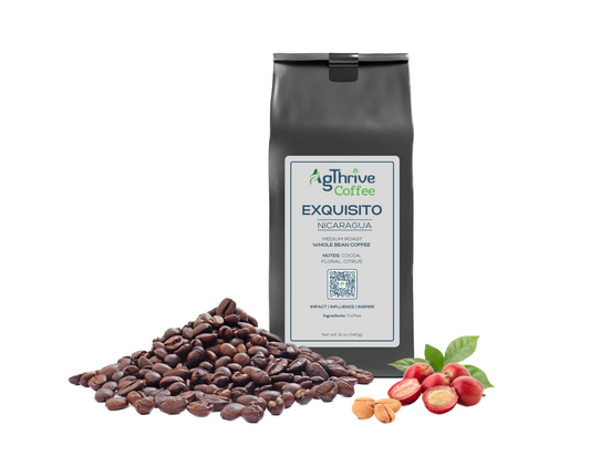 EXQUISITO - Exceptional Nicaraguan Single Origin Coffee Whole Bean